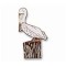 Pelican, American White pin