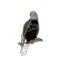 Eagle, Bald (perched) pin