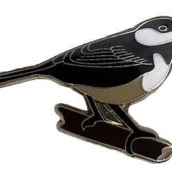 Chickadee, Black-capped pin