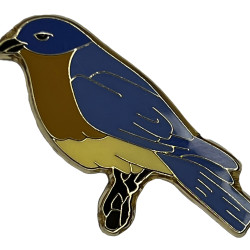 Bluebird, Eastern, enameled pin 