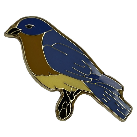 Bluebird, Eastern, enameled pin 