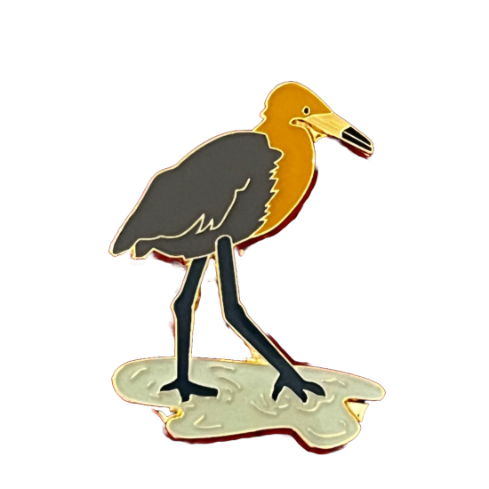 Egret, Reddish pin