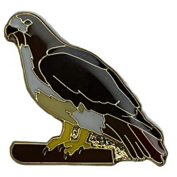 Hawk, Red-tailed pin