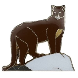 Panther, Florida pin