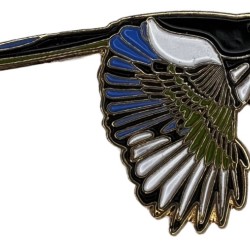 Magpie, Yellow-billed