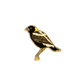 Bobolink