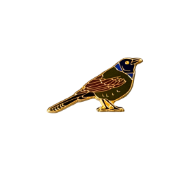Grackle, Common, enameled pin