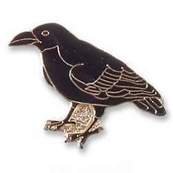 Raven, Common