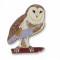 Owl, Barn pin