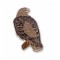 Eagle, Golden (perched) pin