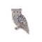 Owl, Western Screech pin