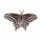 Butterfly, Western Black Swallowtail pin