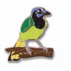 Jay, Green pin