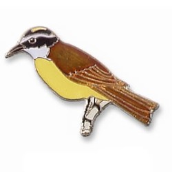 Kiskadee, Great pin