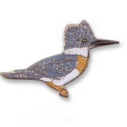 Kingfisher, Belted pin