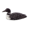 Loon, Common pin