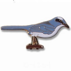 Jay, Florida Scrub pin