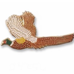 Pheasant, Ring-necked