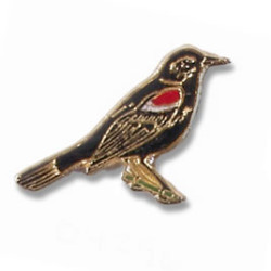 Blackbird, Red-winged