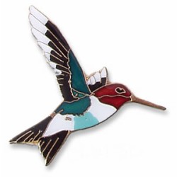 Hummingbird, Anna's pin