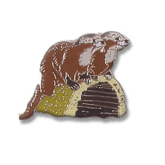 Otter, Northern River pin