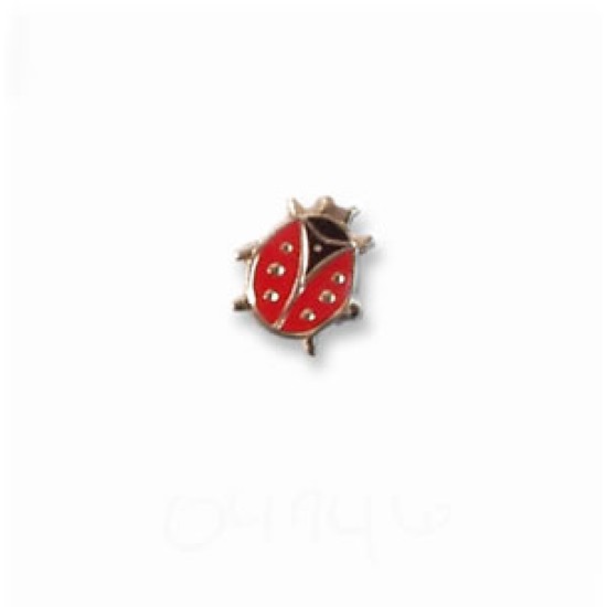 Lady Bug pin