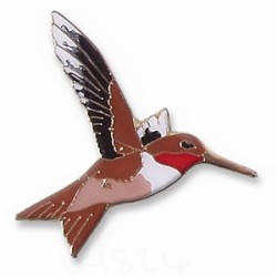 Hummingbird, Rufous pin
