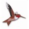 Hummingbird, Rufous pin
